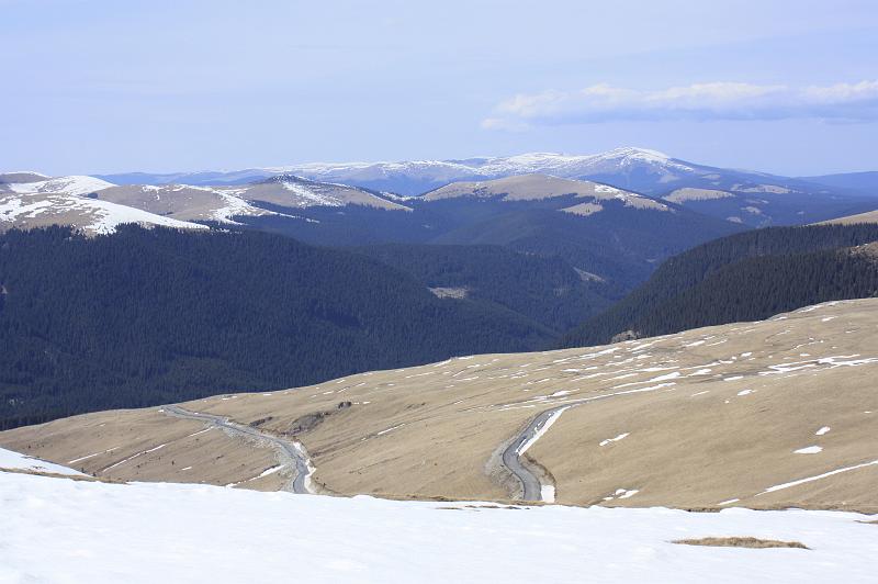 _MG_9849.JPG