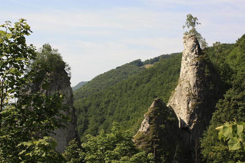 _MG_0802.JPG