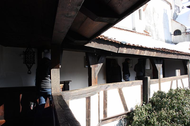 IMG_9005.JPG