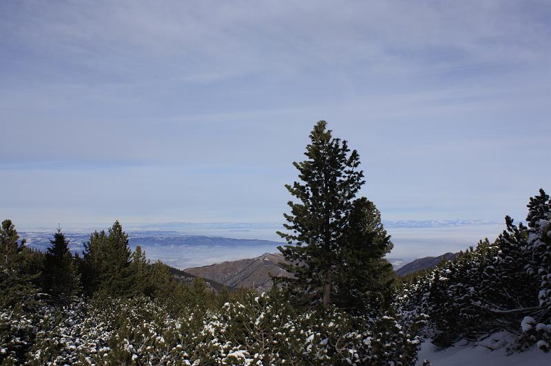 _MG_8777.JPG