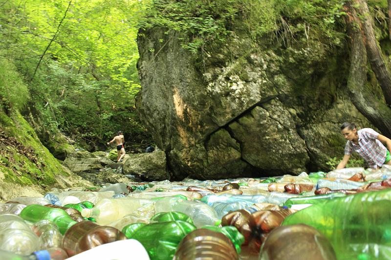_MG_0363.JPG