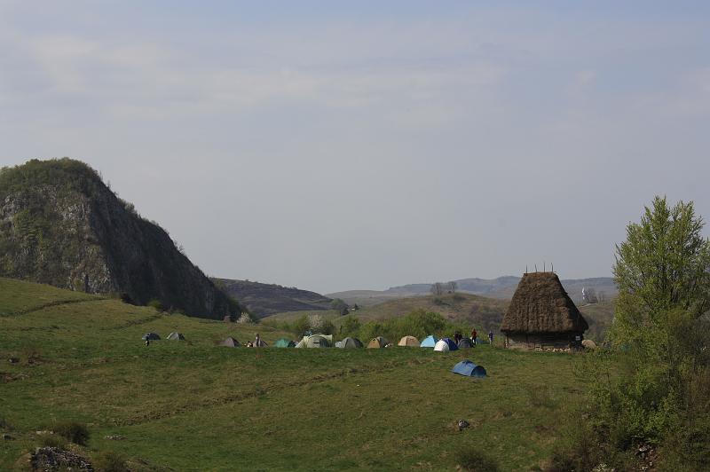 _MG_9862.JPG