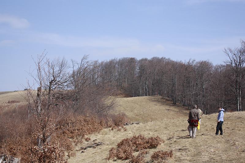 _MG_9592.JPG
