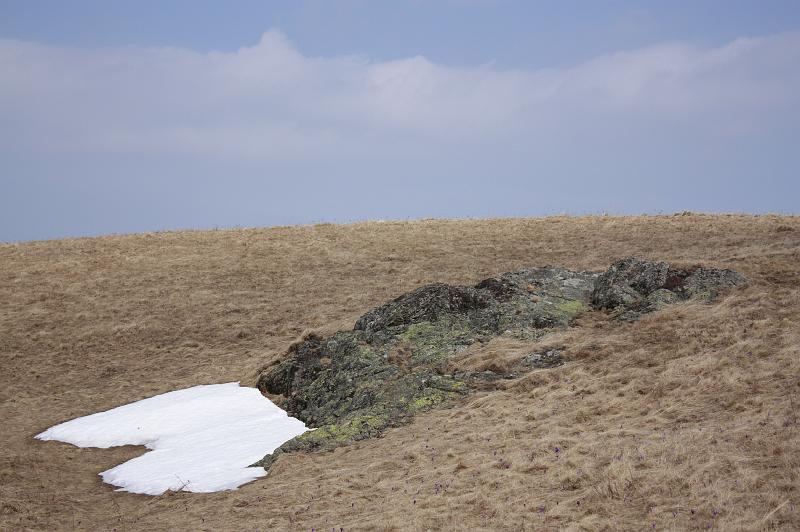 _MG_9600.JPG