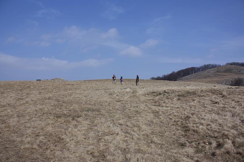 _MG_9601.JPG