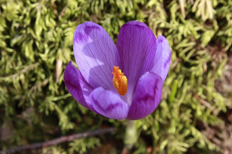 _MG_9656.JPG