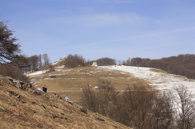 _MG_9378.JPG