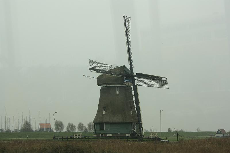 _MG_2304.JPG