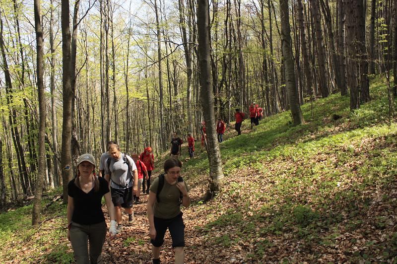 128.JPG