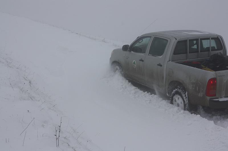 211.JPG
